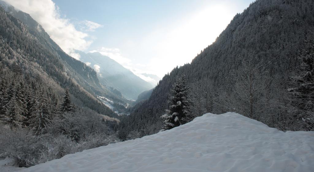 Apartments Haus Schoen - Preise Inclusive Pitztal Sommer Card Jerzens Luaran gambar
