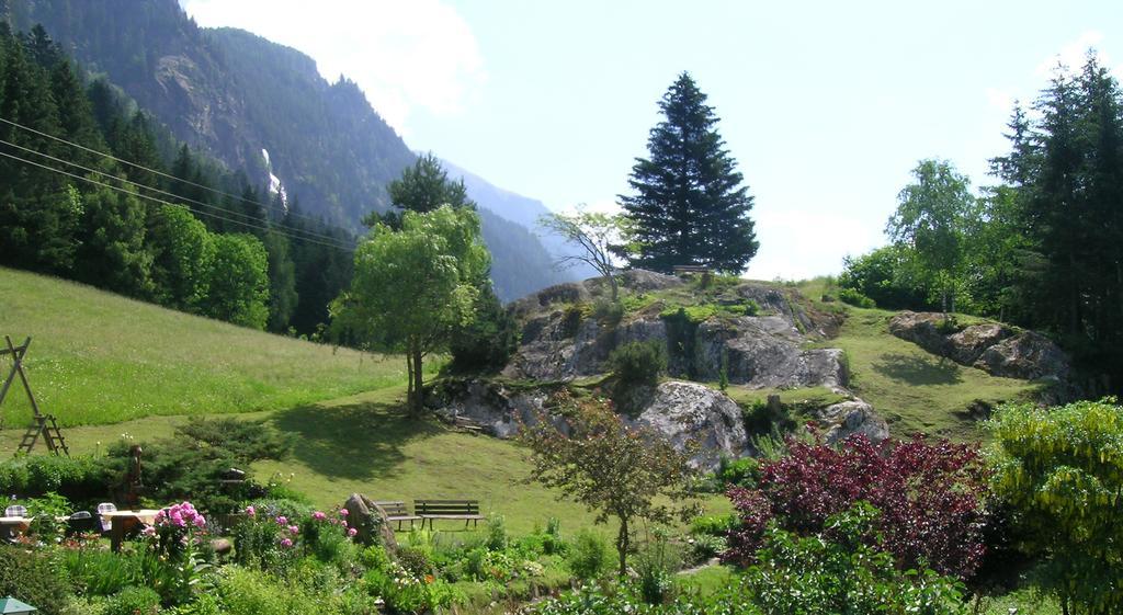 Apartments Haus Schoen - Preise Inclusive Pitztal Sommer Card Jerzens Luaran gambar