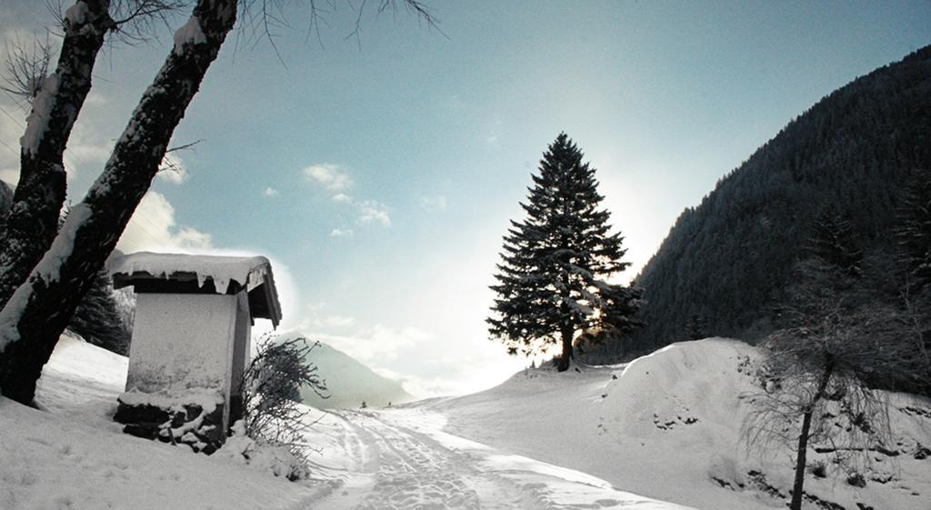 Apartments Haus Schoen - Preise Inclusive Pitztal Sommer Card Jerzens Luaran gambar