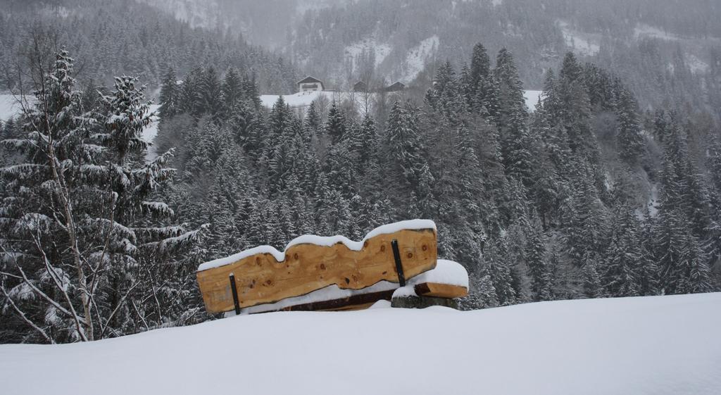 Apartments Haus Schoen - Preise Inclusive Pitztal Sommer Card Jerzens Luaran gambar
